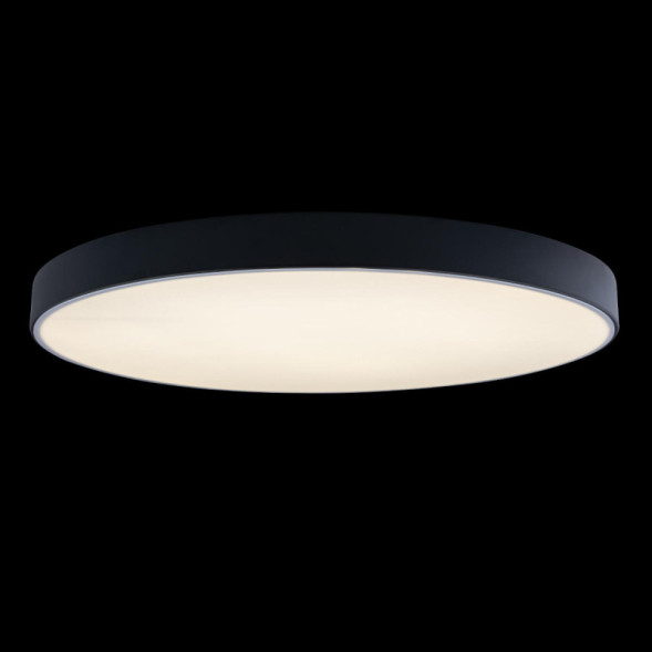 Потолочный светильник LOFT IT AXEL 10002/48 Black