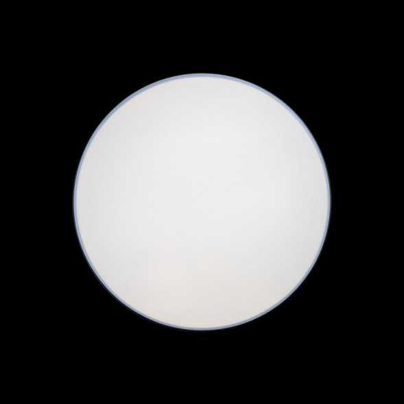 Потолочный светильник LOFT IT AXEL 10002/48 Black