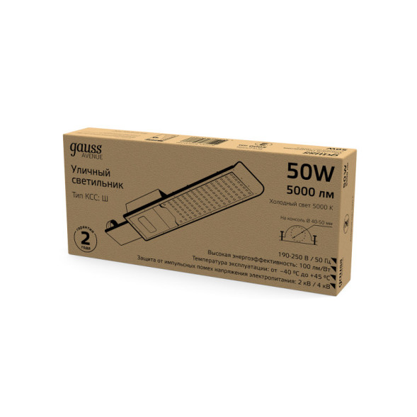 Консольный светильник Gauss 629534350 AVENUE