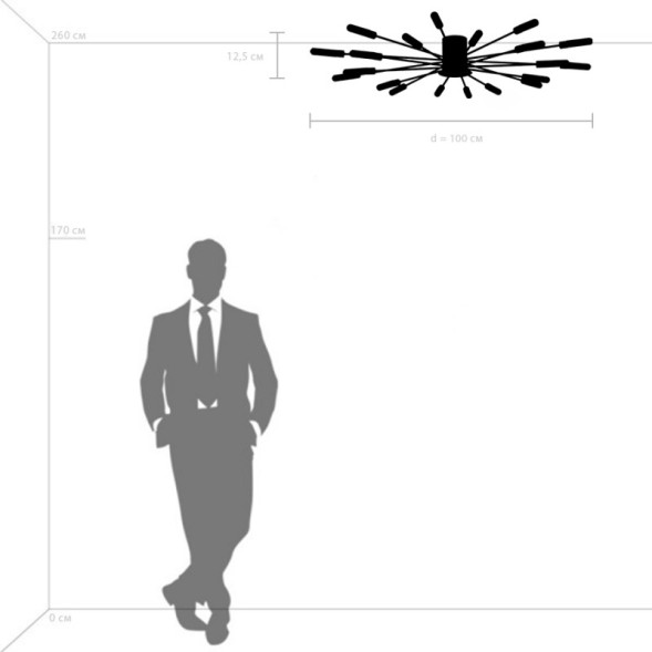 Потолочная люстра Lightstar RAGNO 732203