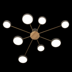 Потолочный светильник LOFT IT 10316/8 Grey