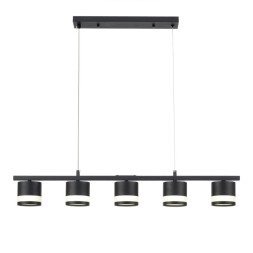 Подвесной светильник LUMION LANIKA 8240/5