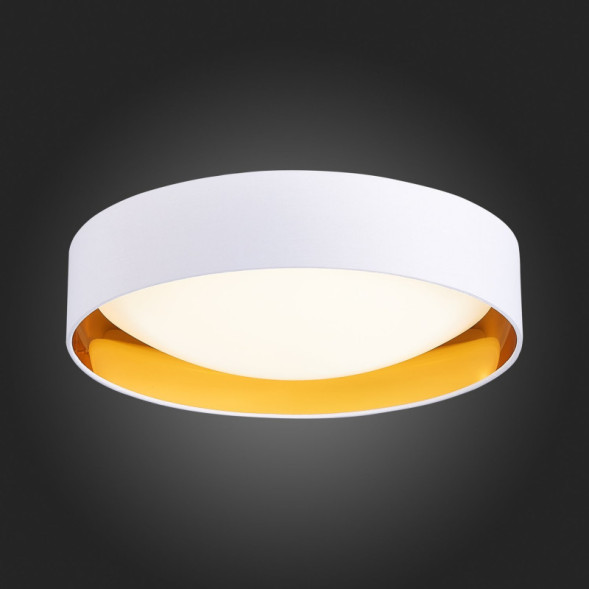 Потолочный светильник Evoluce ORBIO SLE201122-01