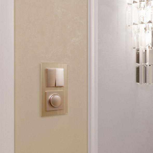 Диммер Werkel W1142011