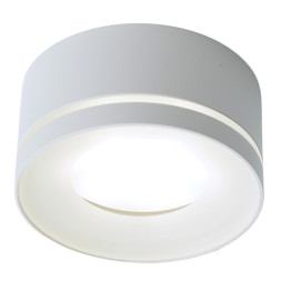 Накладной точечный светильник Feron 51348