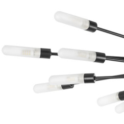 Потолочная люстра Lightstar RAGNO 732207