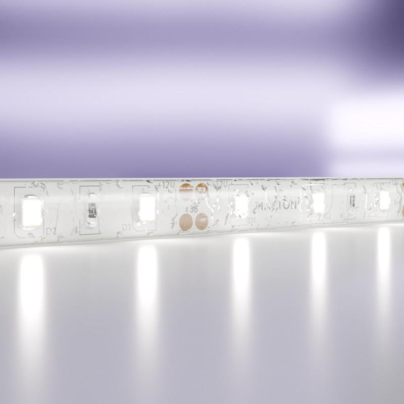 Лента Maytoni Technical 2835 20006 36W 12V 700lm белый (холодный) IP65