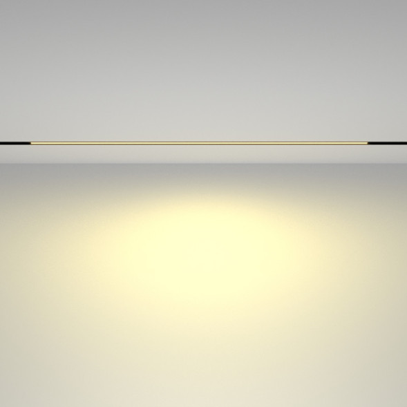 Магнитный трековый светильник Maytoni Technical BASIS TR030-2-30W2.7K-B