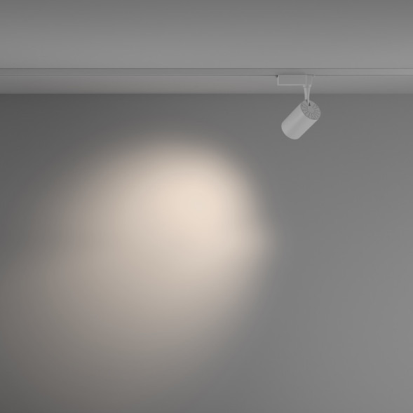 Светодиодный трековый светильник Maytoni Technical Vuoro TR003-1-10W4K-M-W