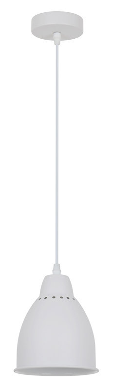 Подвесной светильник ARTE Lamp BRACCIO A2054SP-1WH