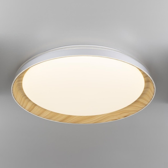 Потолочный светильник Citilux MEGA CL752452G