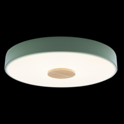 Детский светильник LOFT IT AXEL 10003/24 Green