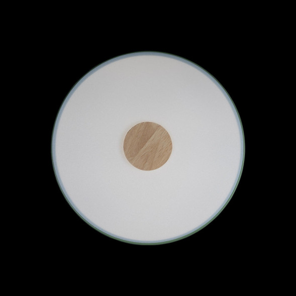 Детский светильник LOFT IT AXEL 10003/24 Green