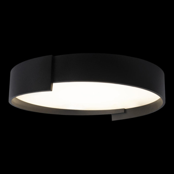 Потолочный светильник LOFT IT Coin 10200 Black