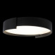 Потолочный светильник LOFT IT Coin 10200 Black