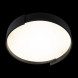 Потолочный светильник LOFT IT Coin 10200 Black