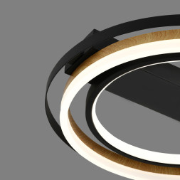 Потолочный светильник Escada LAGOM 10247/2LED