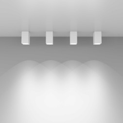 Накладной точечный светильник Elektrostandard 1085 GU10 WH белый матовый