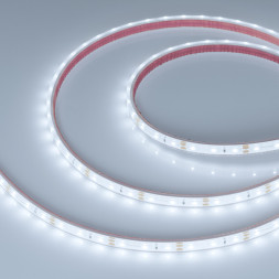 Лента Arlight RTW-PFS-A60-11mm 2835 034006 24W 12V белый (холодный) IP68