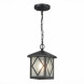 Подвесной уличный светильник ST-Luce LORNE SL084.403.01