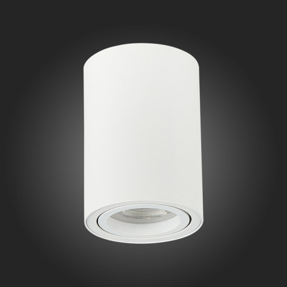 Накладной точечный светильник ST-Luce TORUS ST108.507.01