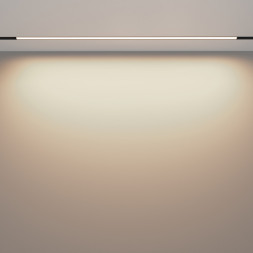 Магнитный трековый светильник Maytoni Technical BASIS TR030-2-30W3K-B