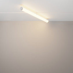 Магнитный трековый светильник Maytoni Technical Larc TR086-4-25W-DS-W