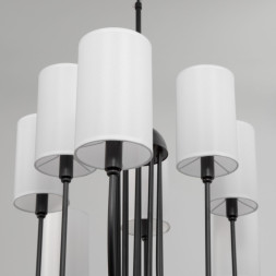 Подвесная люстра Eurosvet ABBEY 60164/10 черный