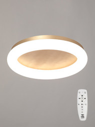 Потолочный светильник Vitaluce V2538DT-8/1PL