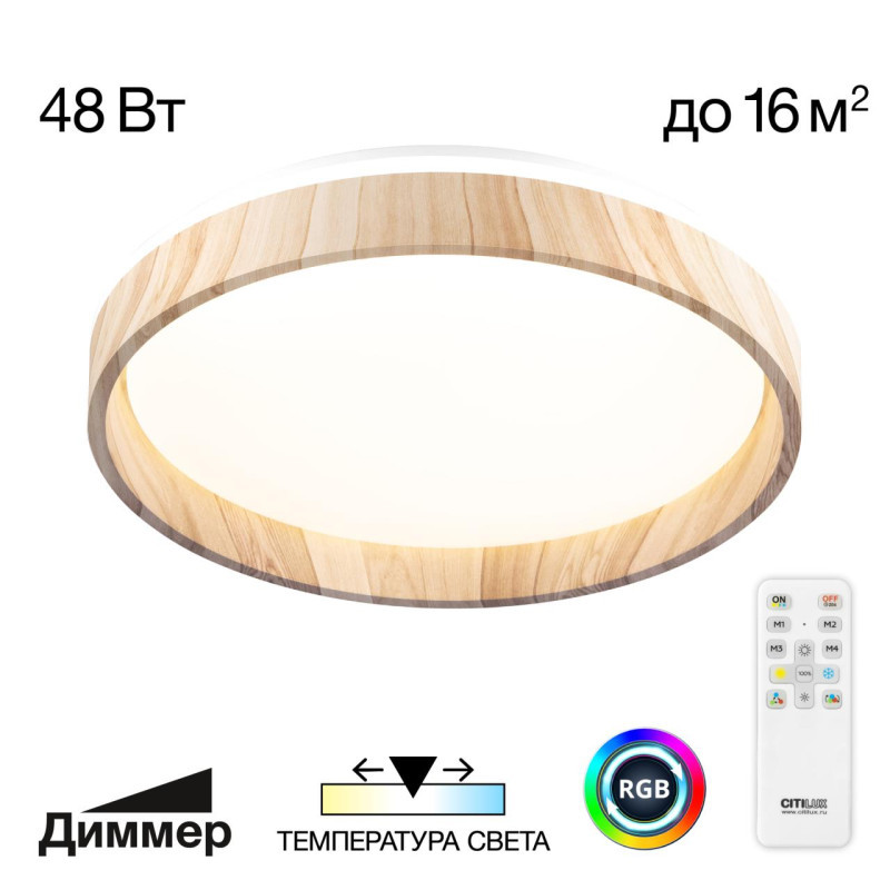 Потолочный светильник Citilux ENZO CL753352G