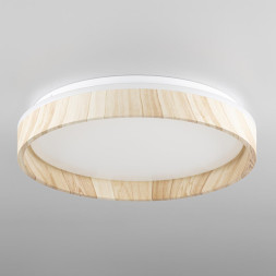 Потолочный светильник Citilux ENZO CL753352G