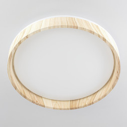 Потолочный светильник Citilux ENZO CL753352G