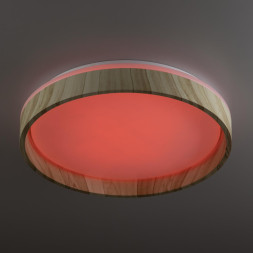 Потолочный светильник Citilux ENZO CL753352G