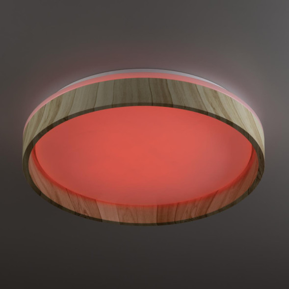 Потолочный светильник Citilux ENZO CL753352G