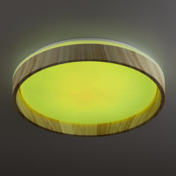 Потолочный светильник Citilux ENZO CL753352G