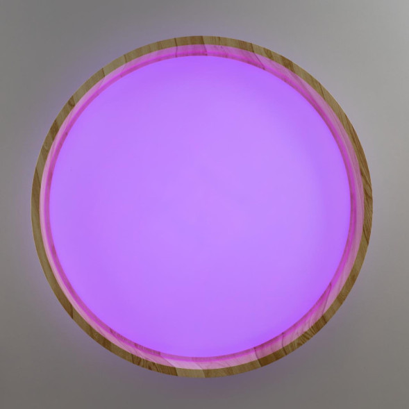 Потолочный светильник Citilux ENZO CL753352G