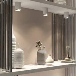 Накладной точечный светильник Elektrostandard Cors 10W (25032/LED) белый/серебро