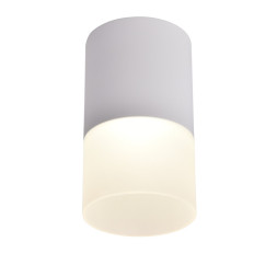 Накладной точечный светильник Favourite Naram 3069-1C