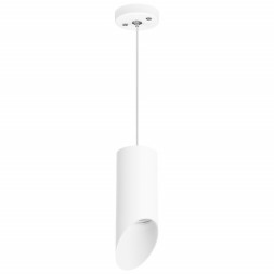 Подвесной светильник Lightstar RULLO RP43636