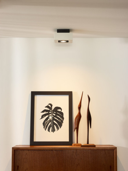 Потолочный светильник LUCIDE Xirax 09119/06/31