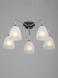 Потолочная люстра Vitaluce V4500 V4500-9/5PL