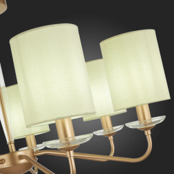 Люстра на штанге Evoluce RITA SLE108002-07