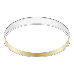 Потолочный светильник Citilux ENZO CL753450G