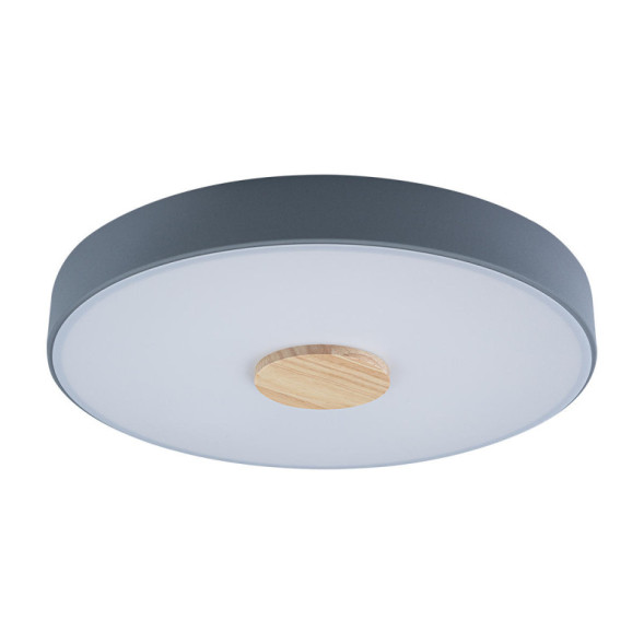 Потолочный светильник LOFT IT AXEL 10003/24 Grey