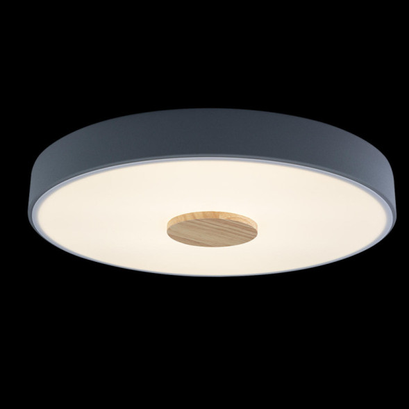 Потолочный светильник LOFT IT AXEL 10003/24 Grey