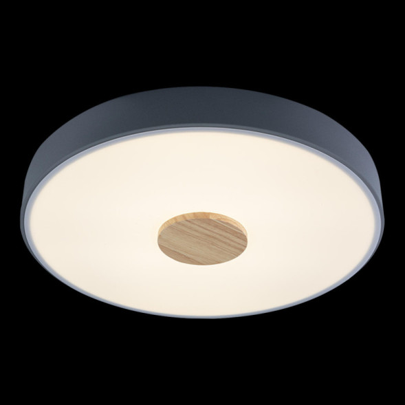 Потолочный светильник LOFT IT AXEL 10003/24 Grey