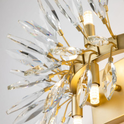 Бра Favourite RAYS 4058-6W