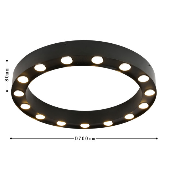Потолочный светильник Favourite 3007-15U