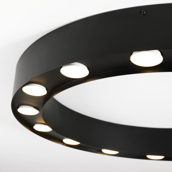 Потолочный светильник Favourite 3007-15U