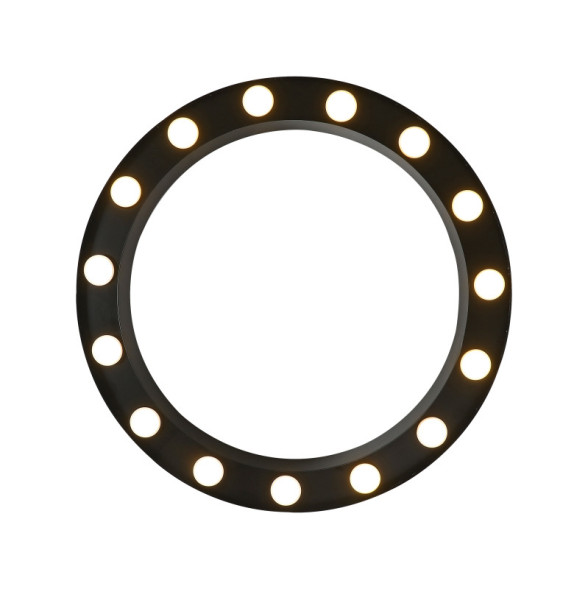 Потолочный светильник Favourite 3007-15U